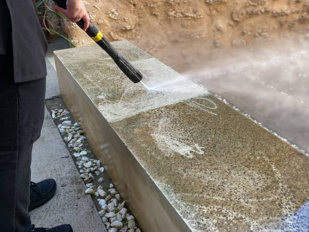Best Residential Pressure Washing Services  in Spring Creek, NV